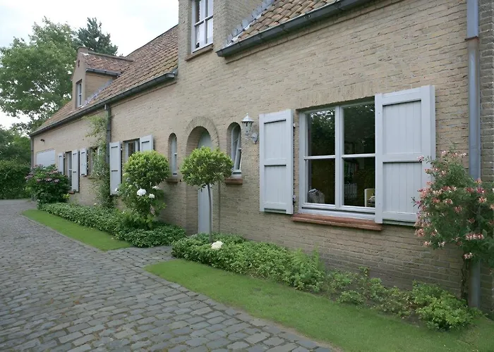 Pivoné Assebroek